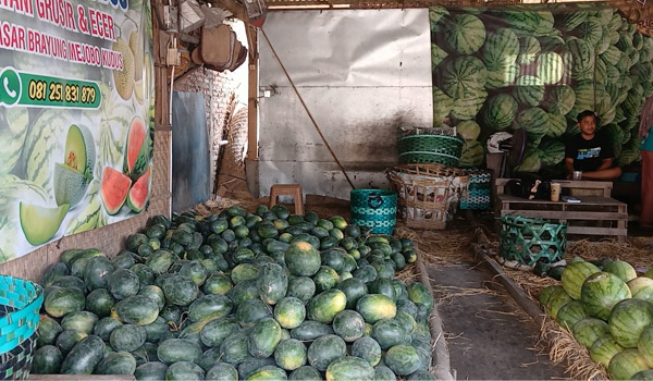 Lapak Semangka Dekat Pasar Brayung Ini Enteng Sekali Jual 2 Kuintal Sehari