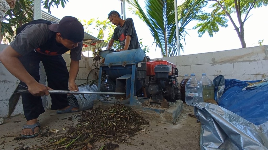 Miliki Kandungan Asam Humat Tinggi, Pupuk Eceng Gondok Pas Diterapkan di Lahan Pertanian Rawan Banjir
