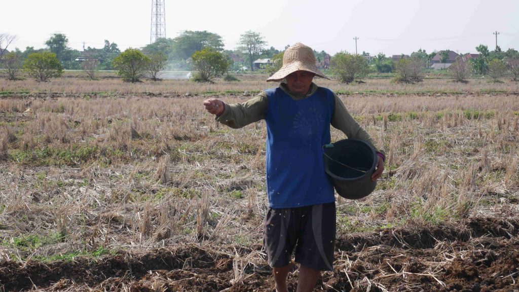 643 Ton Pupuk Organik di Jepara Belum Bisa&nbsp;Terserap