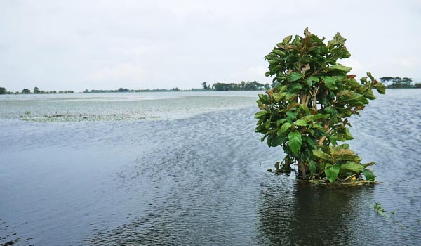 Sering Akibatkan Banjir, BPBD dan BBWS Akan Keruk 3 Sungai di Kudus
